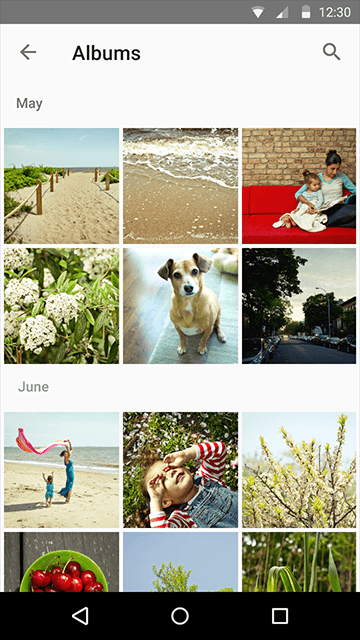 material_design_component_divider_c